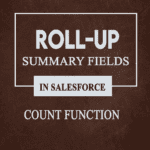 Roll-Up Summary Fields in Salesforce for (COUNT) Function